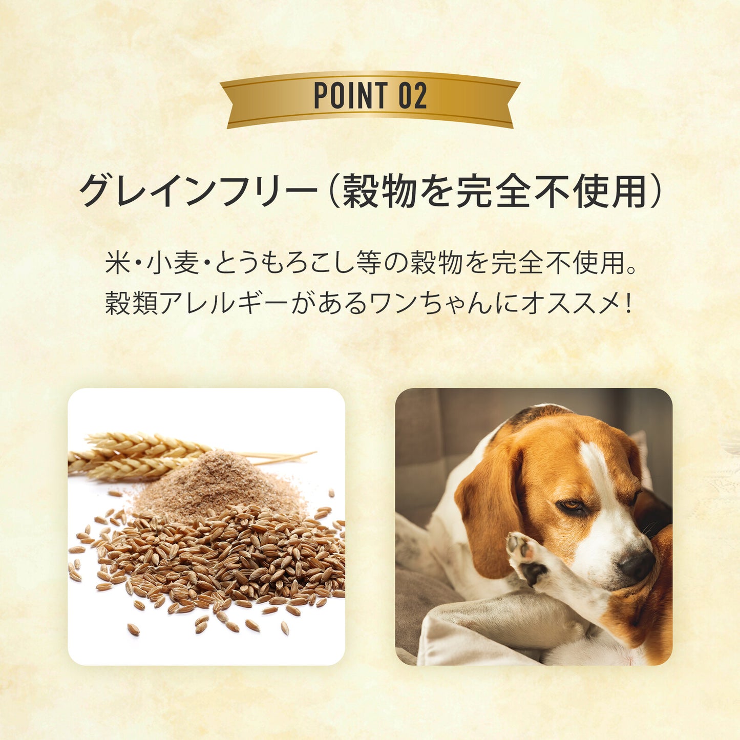 グディーズ　デンタルバーS（2本入り）