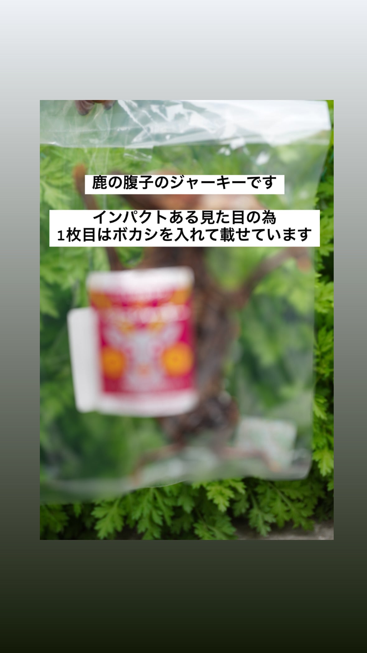 ハラコジャーキー